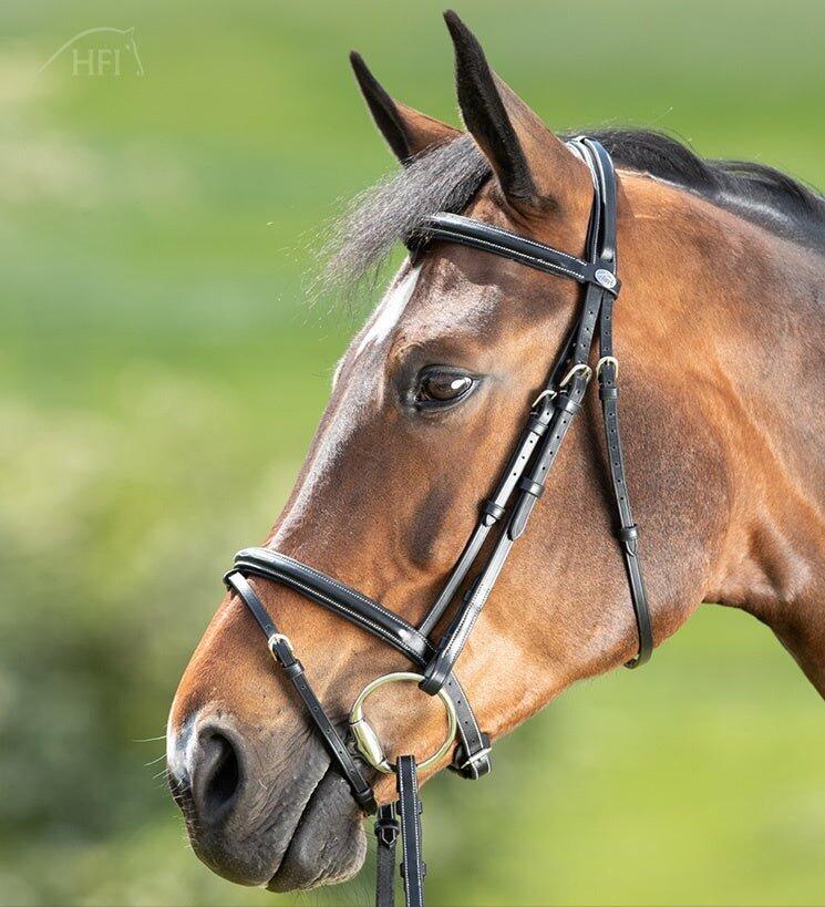 Bridons équitation HFI Comfort 2/7