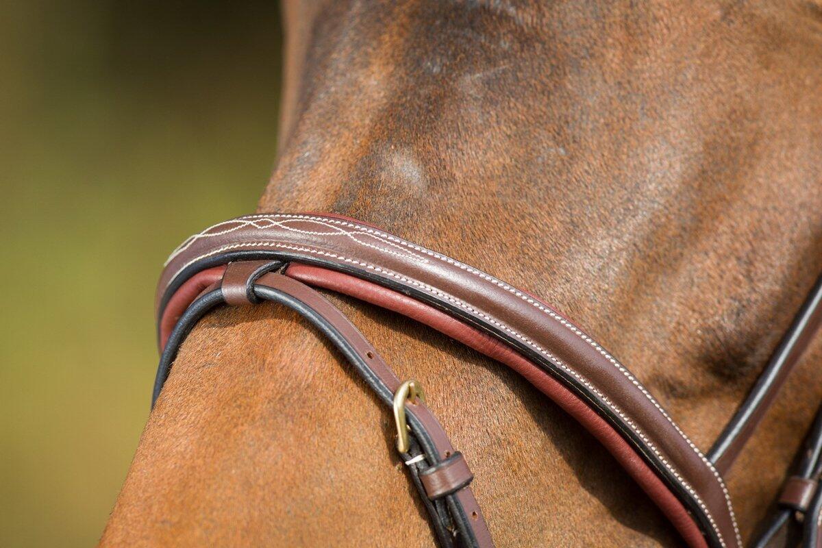 Bridons équitation HFI Comfort 5/7