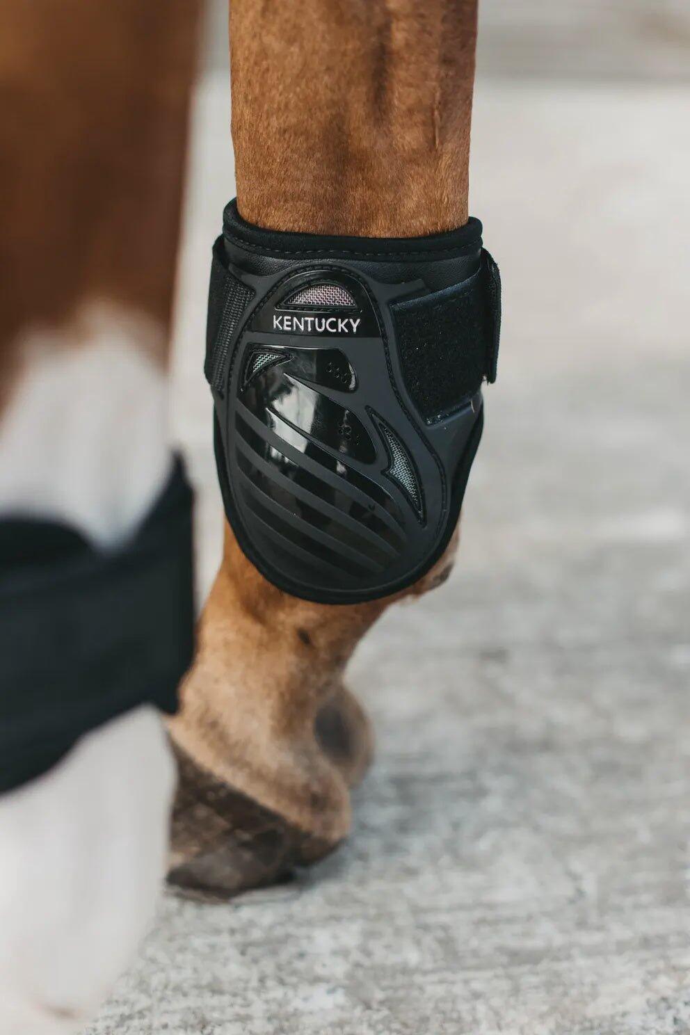 Fetlock guard for young horses Kentucky 5/7