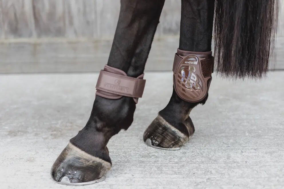 Fetlock guard for young horses Kentucky 6/7
