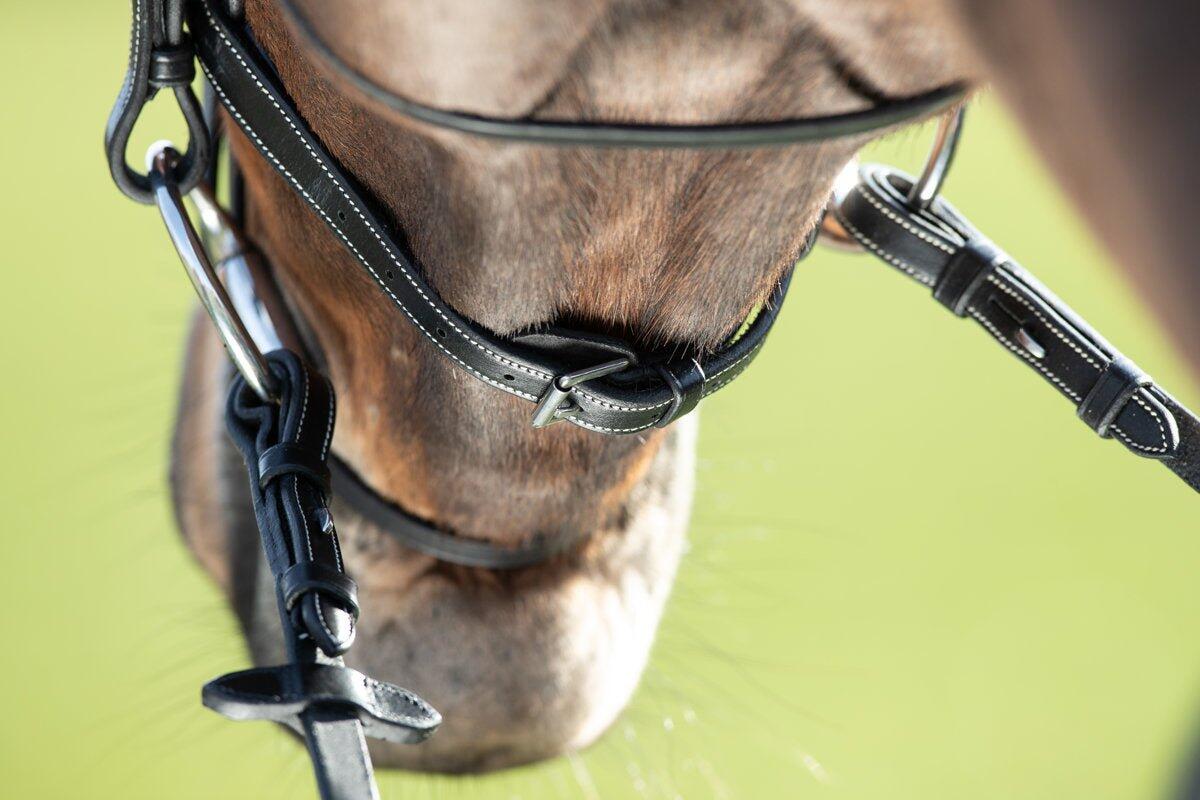 Bridons équitation HFI Comfort 6/7