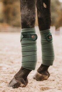 Bandes de polo Velvet Pearl - Kentucky 3/7