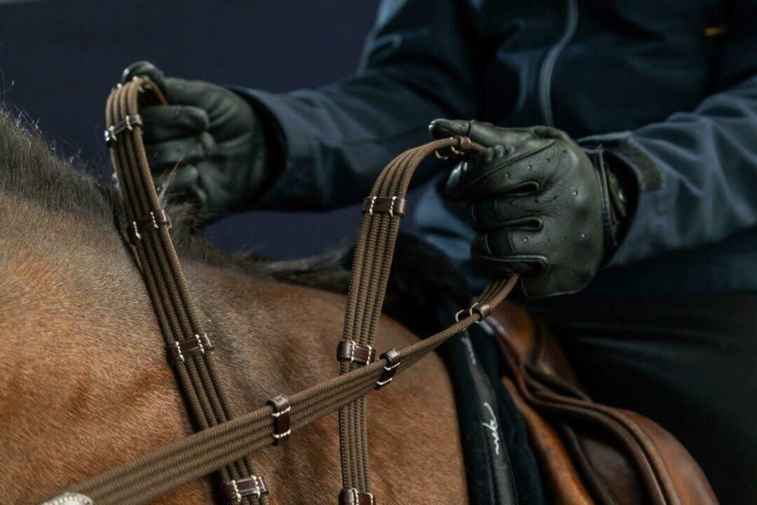Redini per cavallo in pelle con fermagli Dy'on 5/8" 3/4