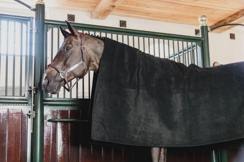 Coperta asciugante per cavalli Kentucky 6/7
