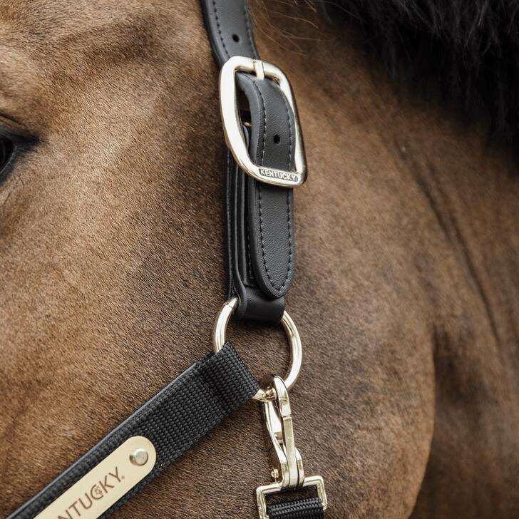 Anatomic nylon halter navy cob 2/7