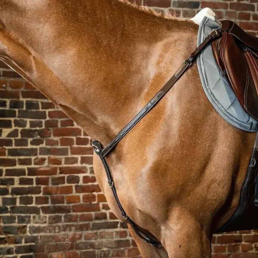 Hunting collar for horse Dy'on