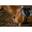 Dy'on Breastplate D Collection Zwart -