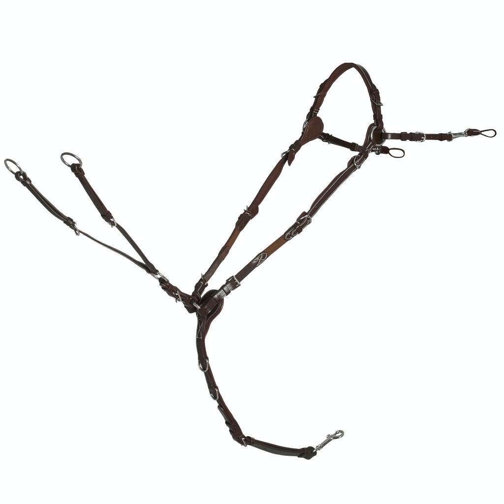 SCHOCKEMÖHLE picture