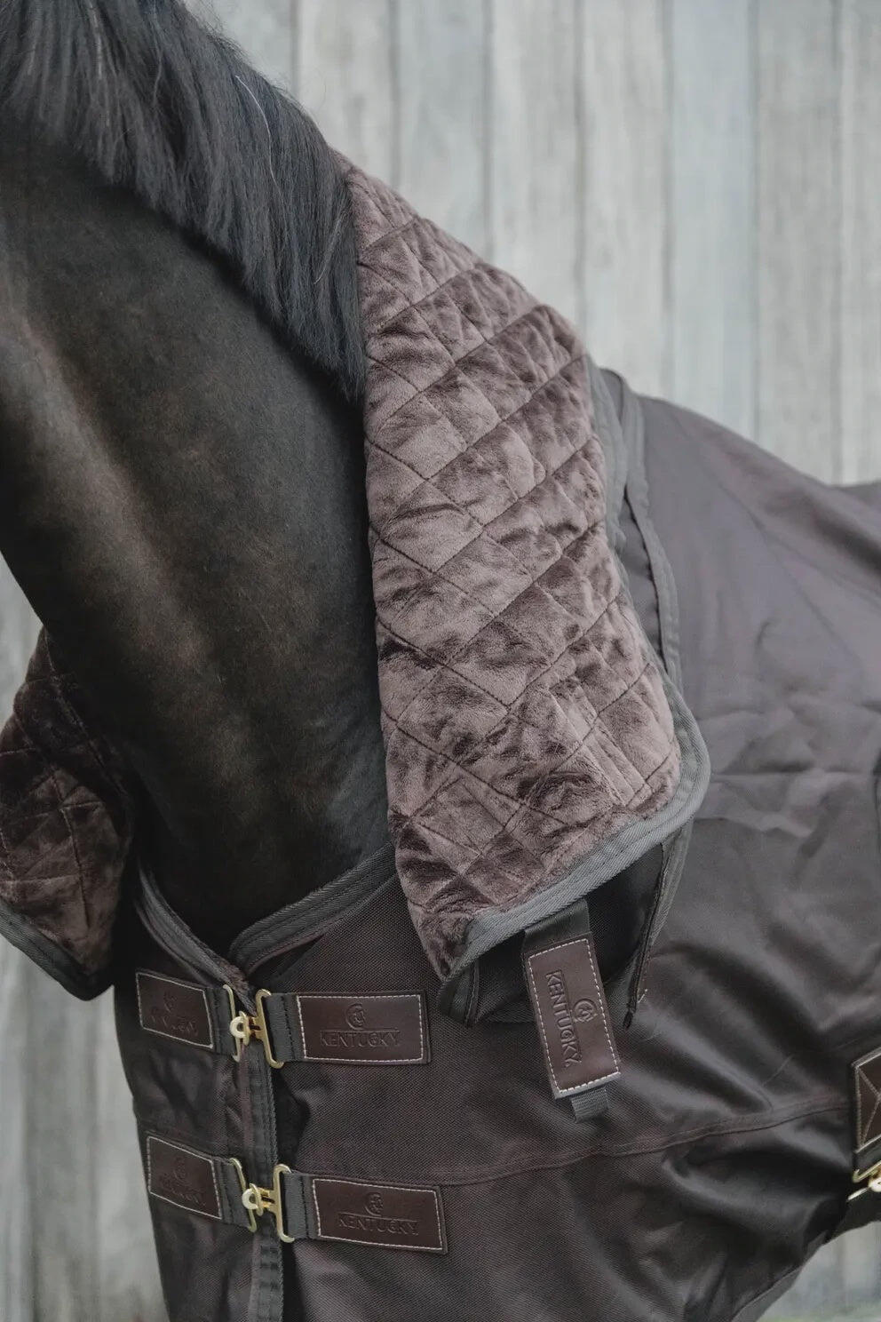 Kentucky Neck All Weather Pro Bruin - 5/7
