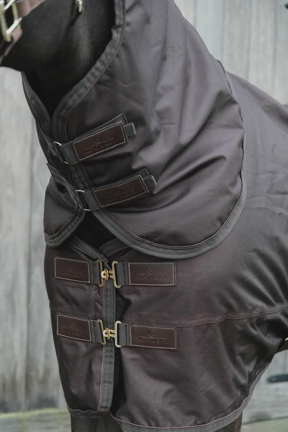 Kentucky Neck All Weather Pro Bruin - 4/7