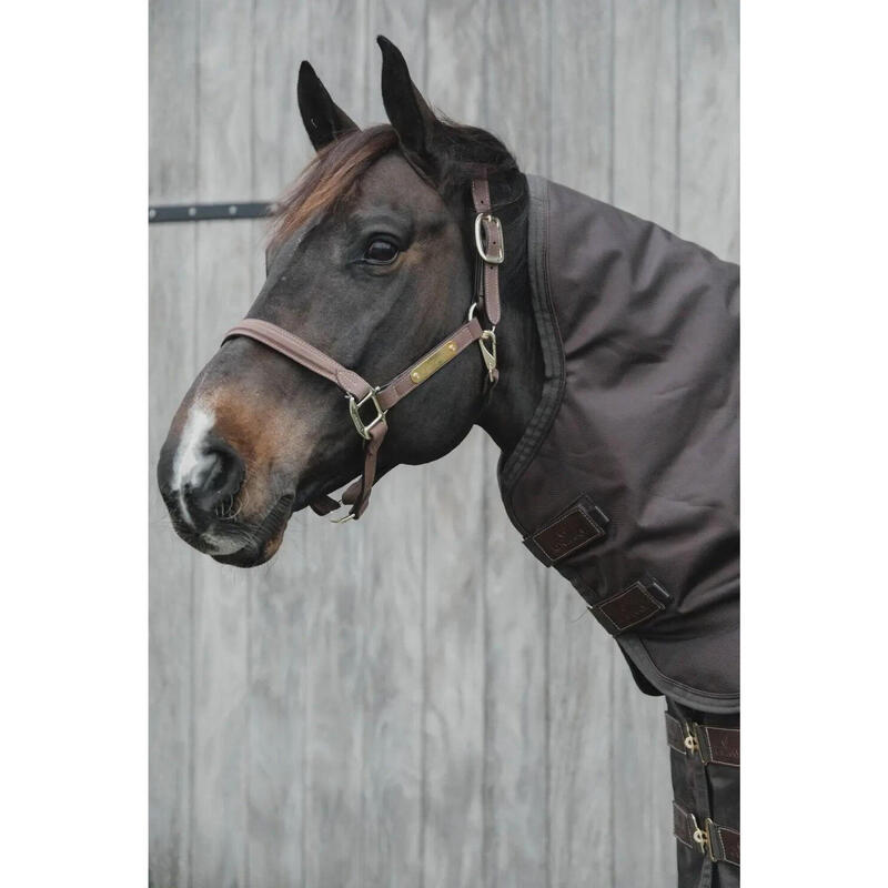 Kentucky Neck All Weather Pro Groen -