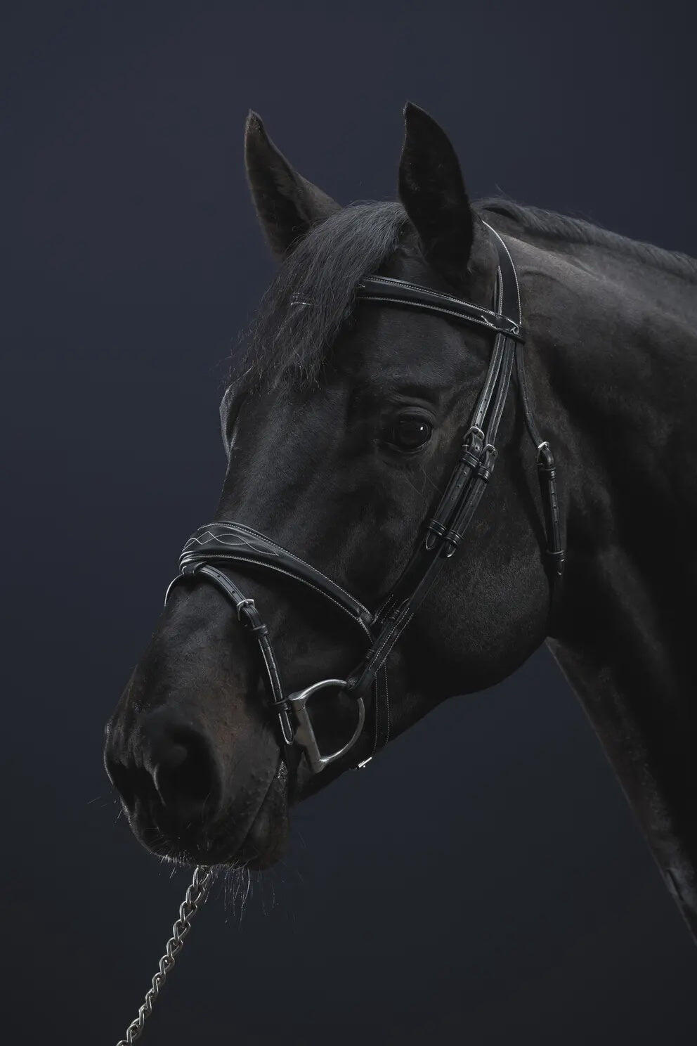 Dy'on Anatomic Flash Noseband Hoofdstel Hunter Bruin - 4/4