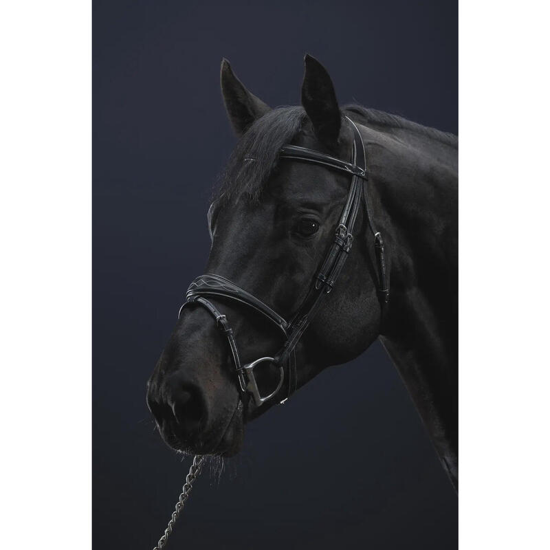 Dy'on Anatomic Flash Noseband Hoofdstel Hunter Zwart -