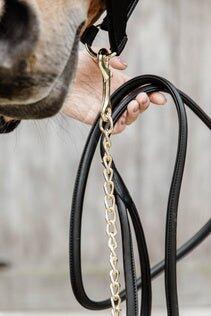 Longe équitation pour cheval de présentation Kentucky 5/6