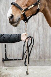 Longe équitation pour cheval de présentation Kentucky 6/6