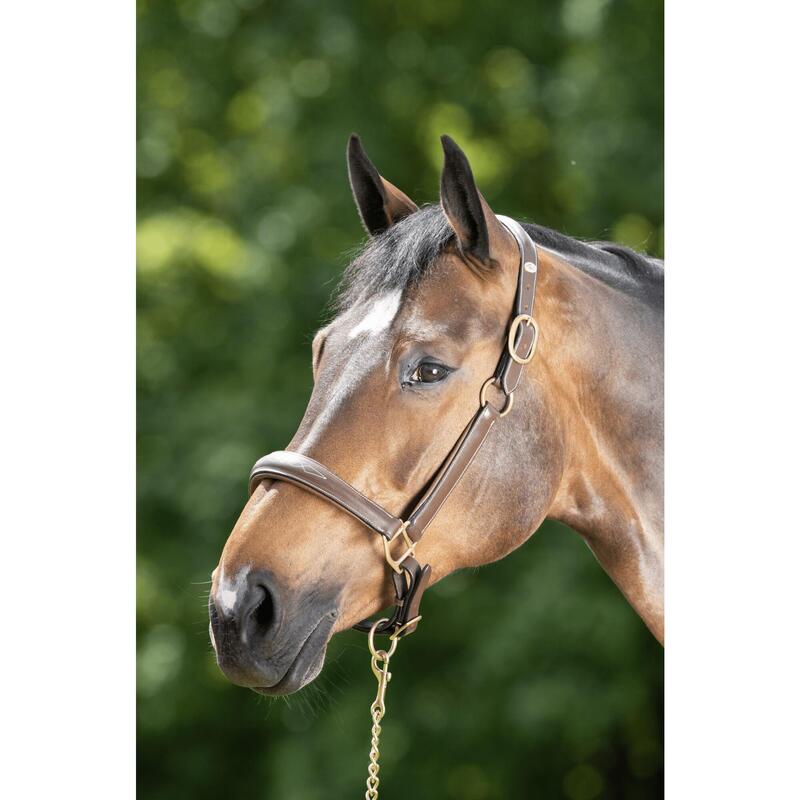 Hfi Grooming Halster Bruin -