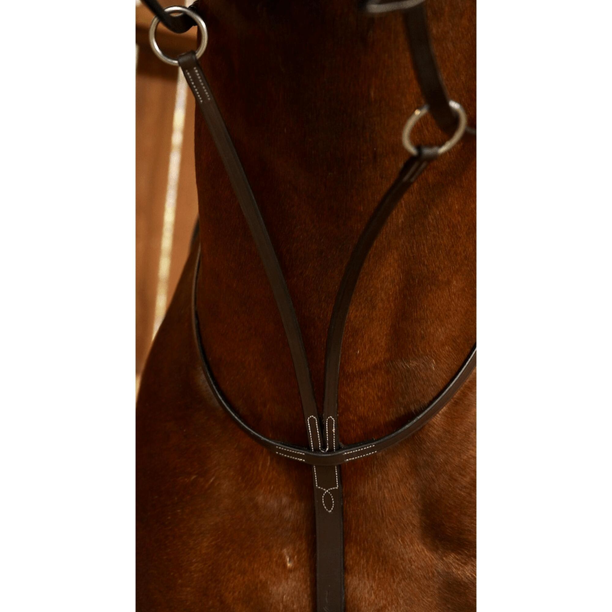 Dy'on Running Martingale - Working Collection Bruin -