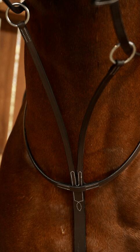 Martingale met ringen Dy'on 2/3
