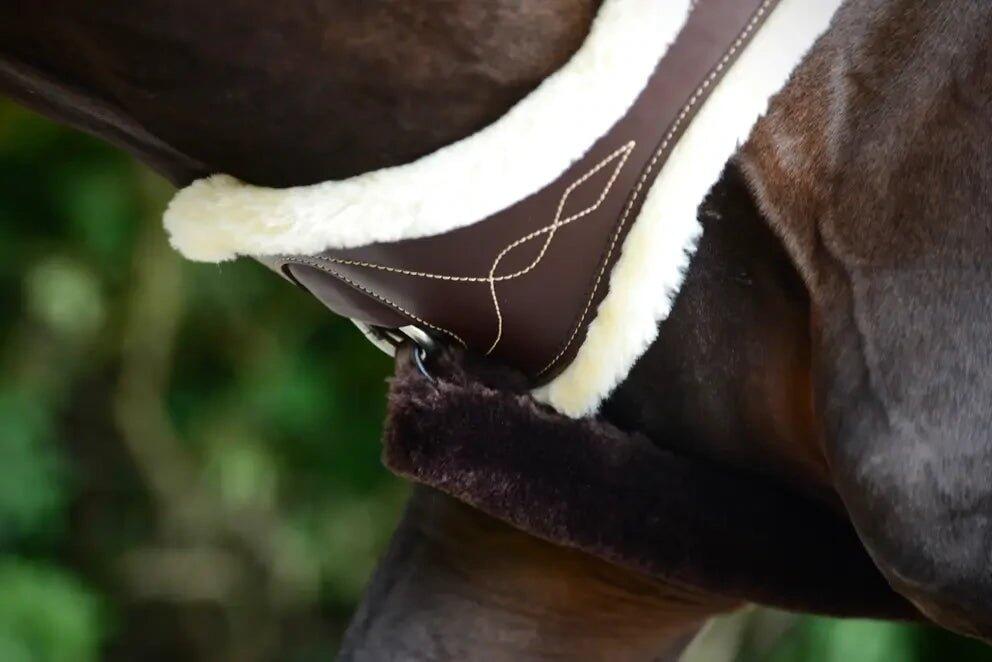 Sangle anatomique pour cheval mouton Kentucky 4/7