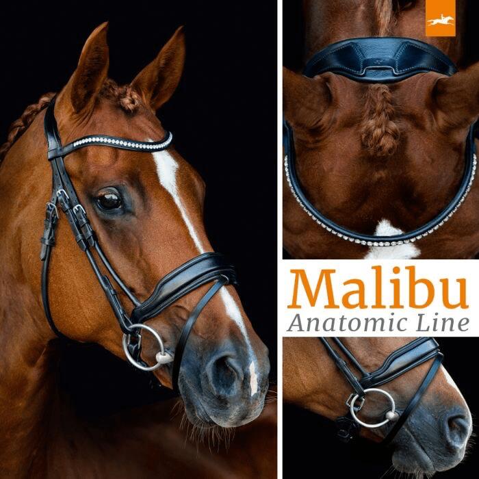 Schockemöhle Malibu Anatomisch Hoofdstel Patent - 6/7