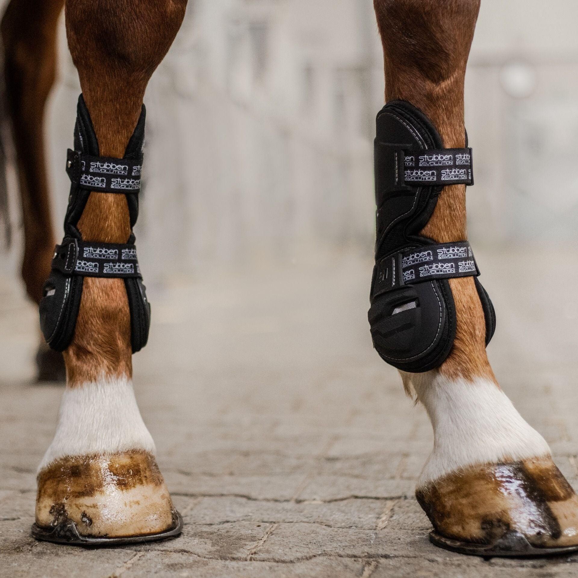 Ghette da cavallo aperti Stübben Hybrid 3/7