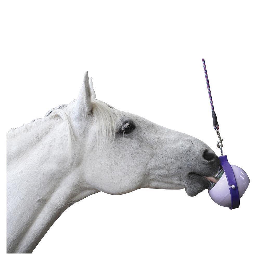 Balle pivotante support LIKIT - Boredom Buster 3/3