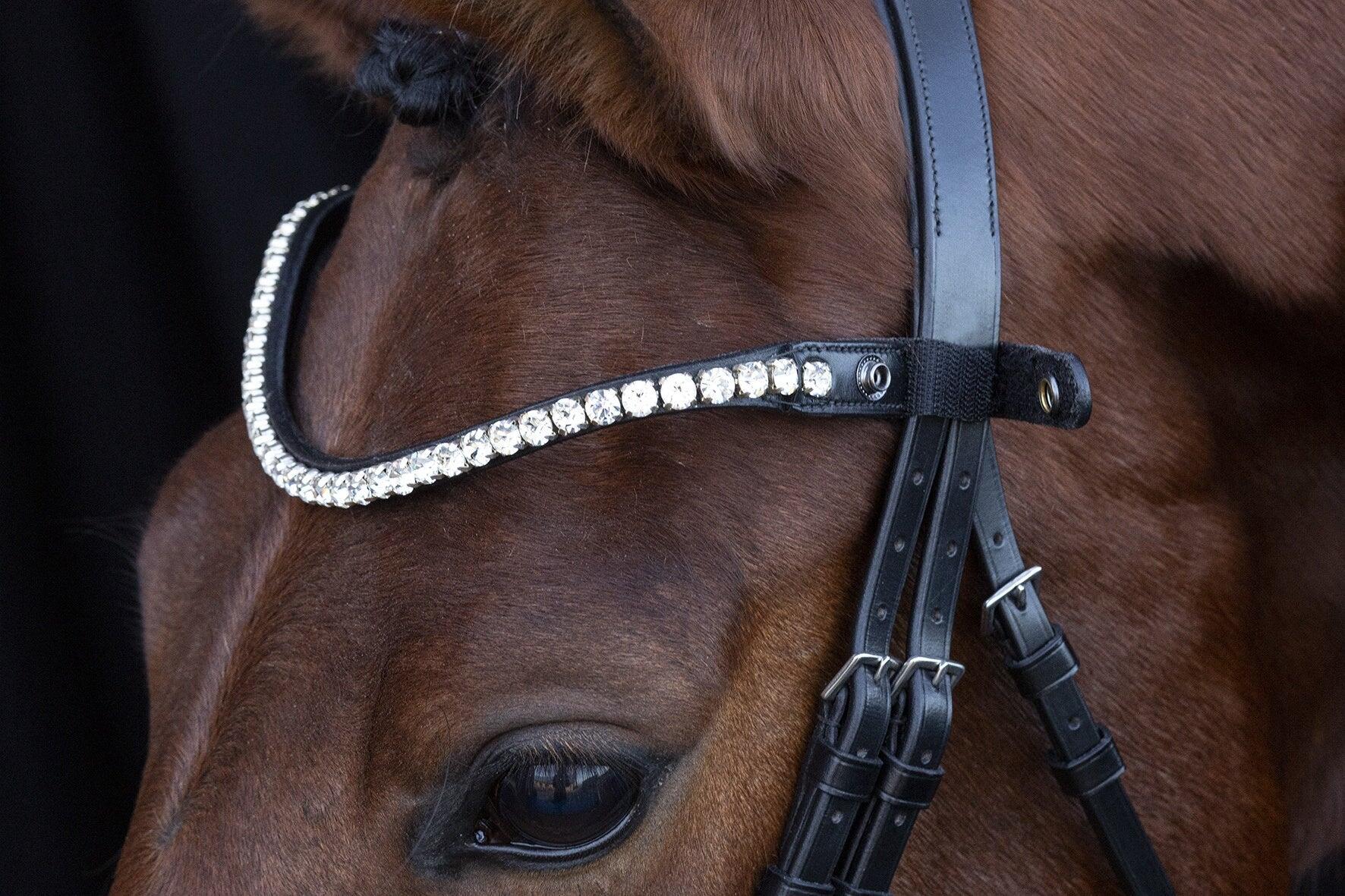 Bridon équitation anatomique Schockemöehle Siena 3/4