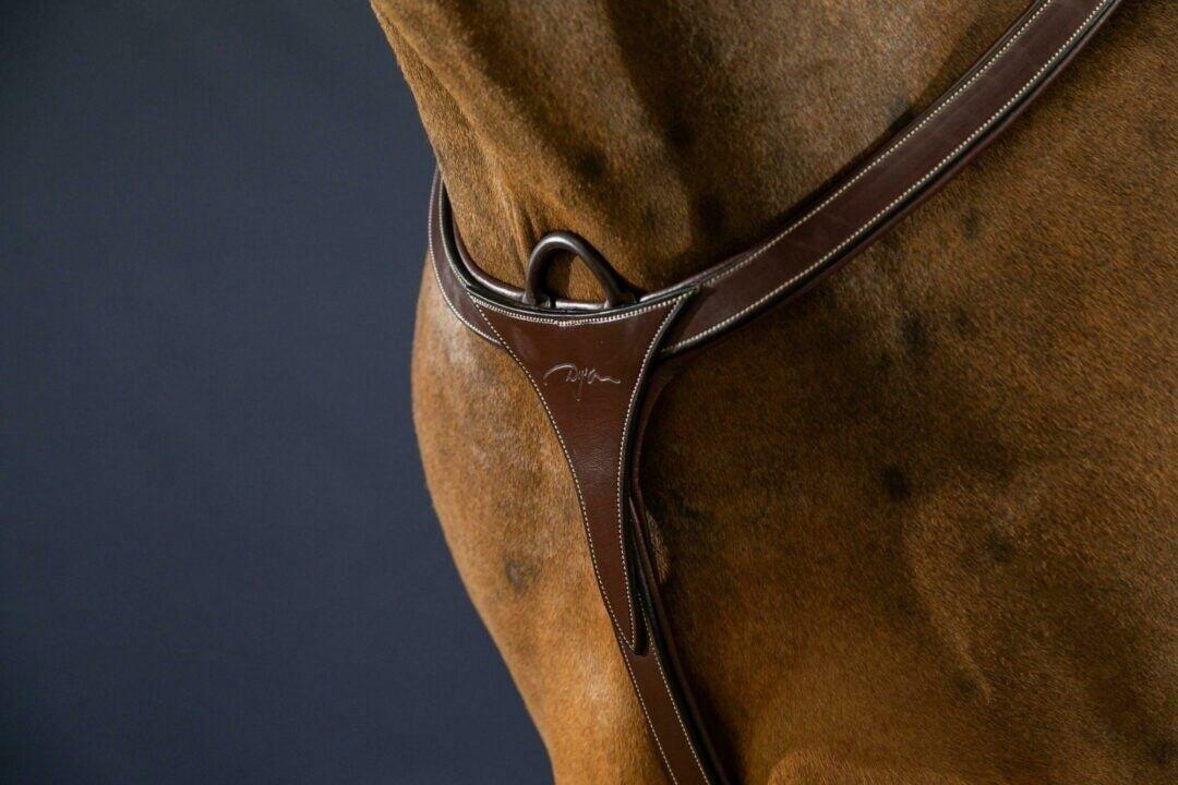 Jagdhalsband mit langem Steg für Pferde Dy'on 2/7