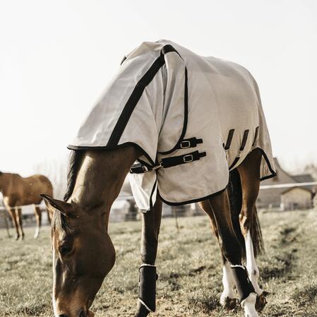 Kentucky Vliegendeken Beige - 6/7