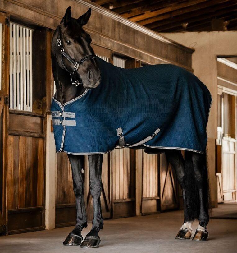 HORSEWARE IRELAND picture