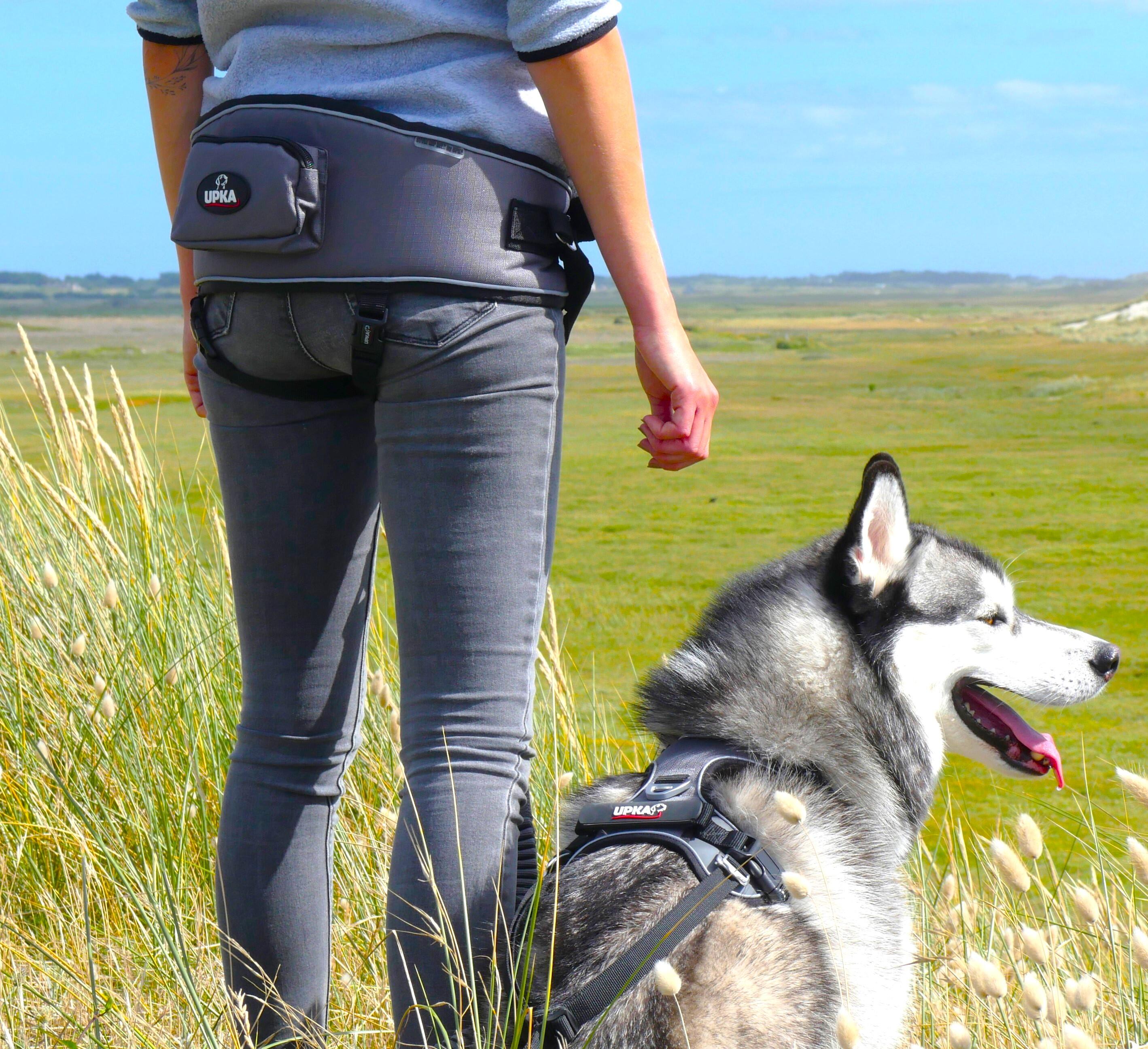 Harness I-DOG Style Upka 6/7