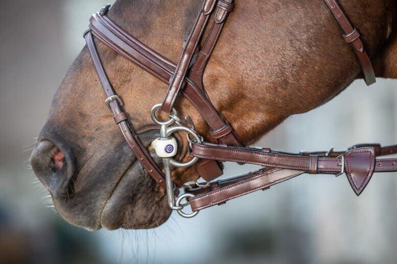 Redini per cavallo con anelli in gomma e 7 fermagli Dy'on 3/3
