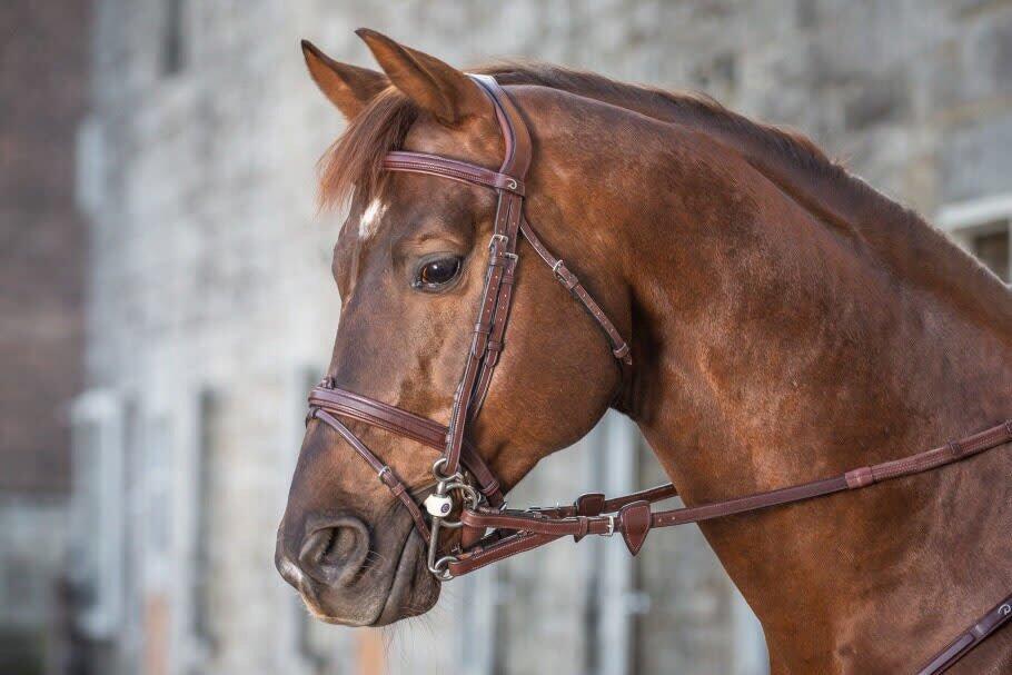 Redini per cavallo con anelli in gomma e 7 fermagli Dy'on 2/3