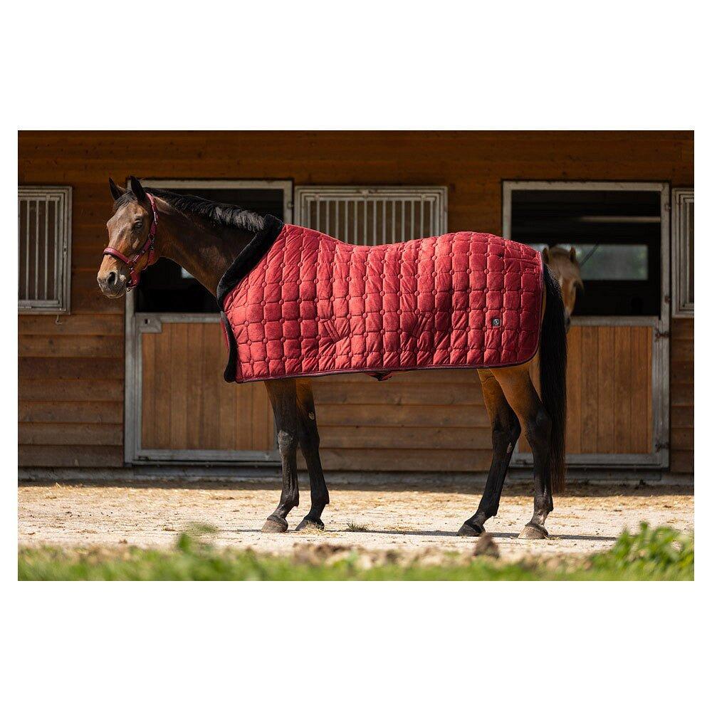 Polary końskie BR Equitation CLX 0g 6/7