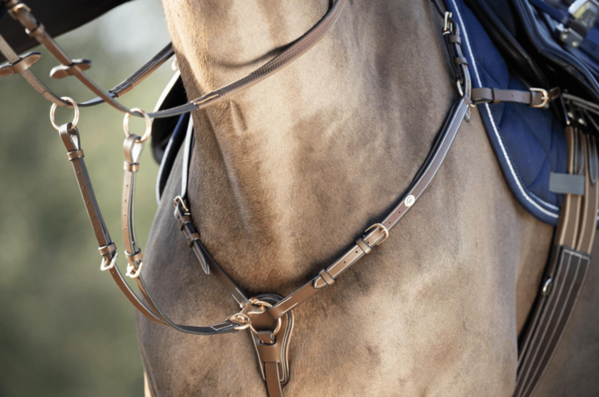 Collier de chasse pour cheval HFI "Long bridge" 2/5