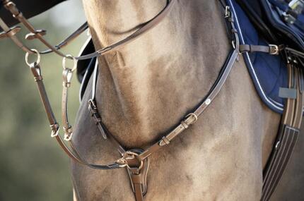 Collier de chasse pour cheval HFI Long Bridge