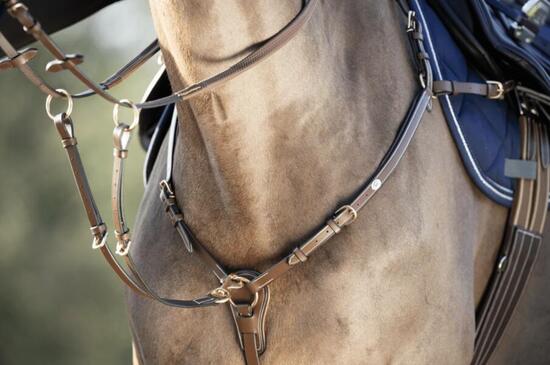 Collier de chasse pour cheval HFI "Long bridge