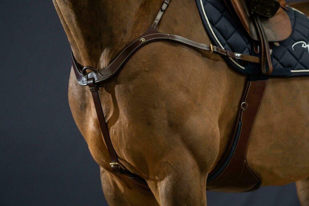 Collar de caza anatómico para caballos Dy'on 3/7