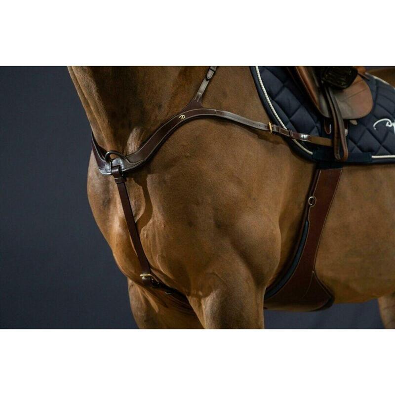 Dy'on Anatomical Breastplate D Collection Zwart -
