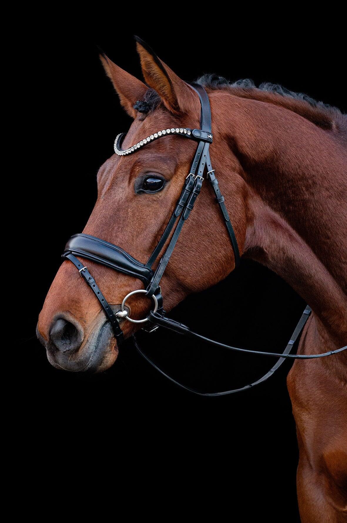 Bridon équitation anatomique Schockemöehle Siena 2/4