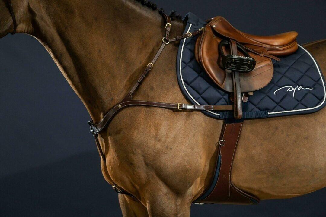 Collier de chasse pour cheval anatomique Dy'on 2/7