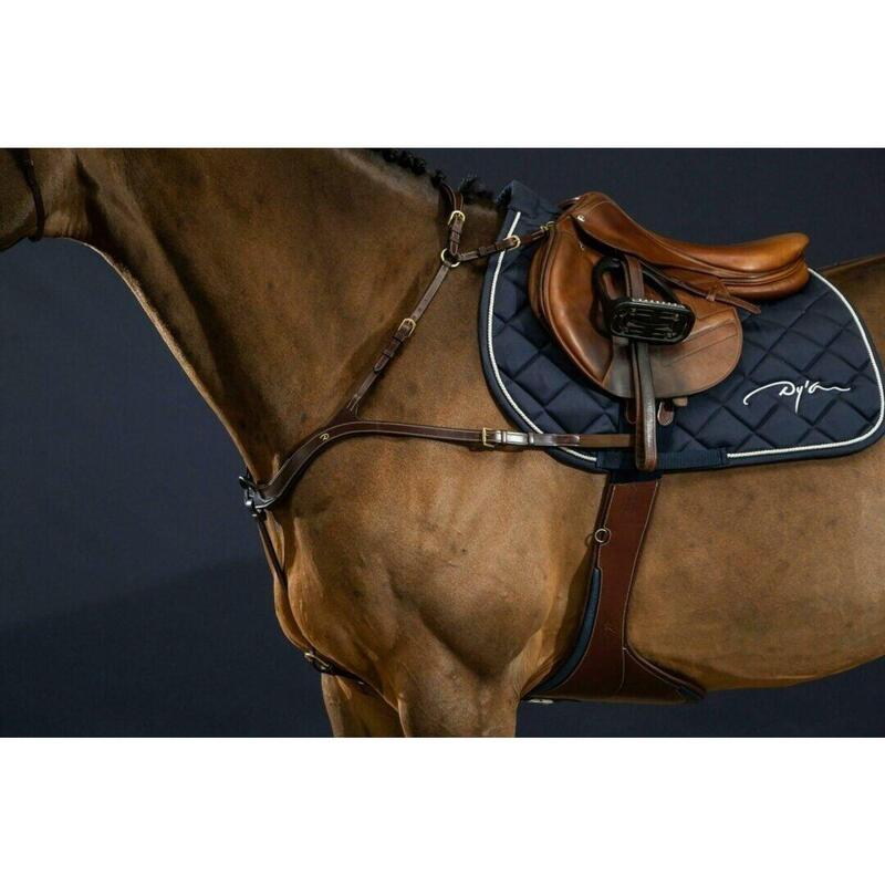 Dy'on Anatomical Breastplate D Collection Zwart -