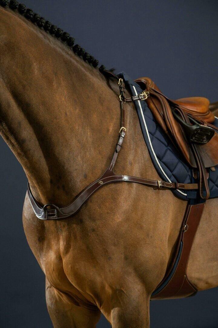 Collar de caza anatómico para caballos Dy'on 7/7