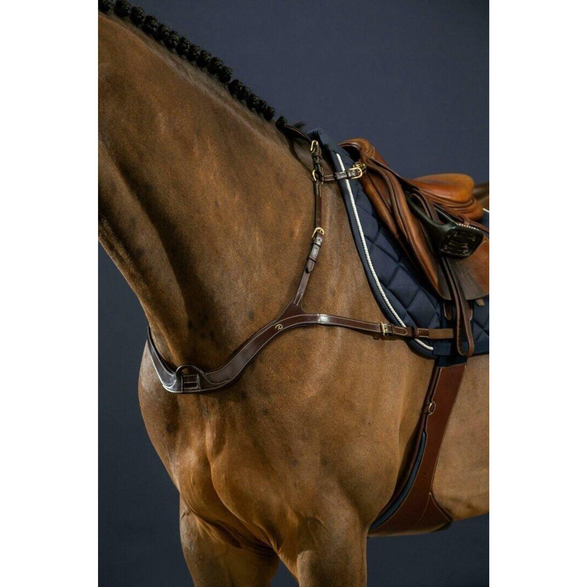 Dy'on Anatomical Breastplate D Collection Zwart -