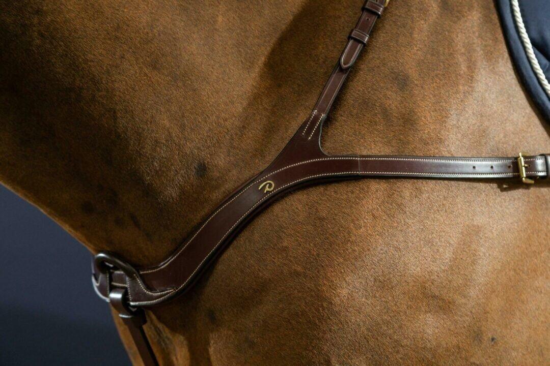 Collar de caza anatómico para caballos Dy'on 5/7