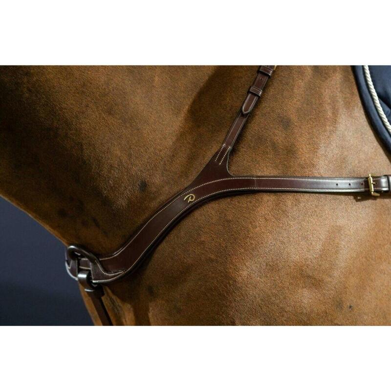 Dy'on Anatomical Breastplate D Collection Zwart -