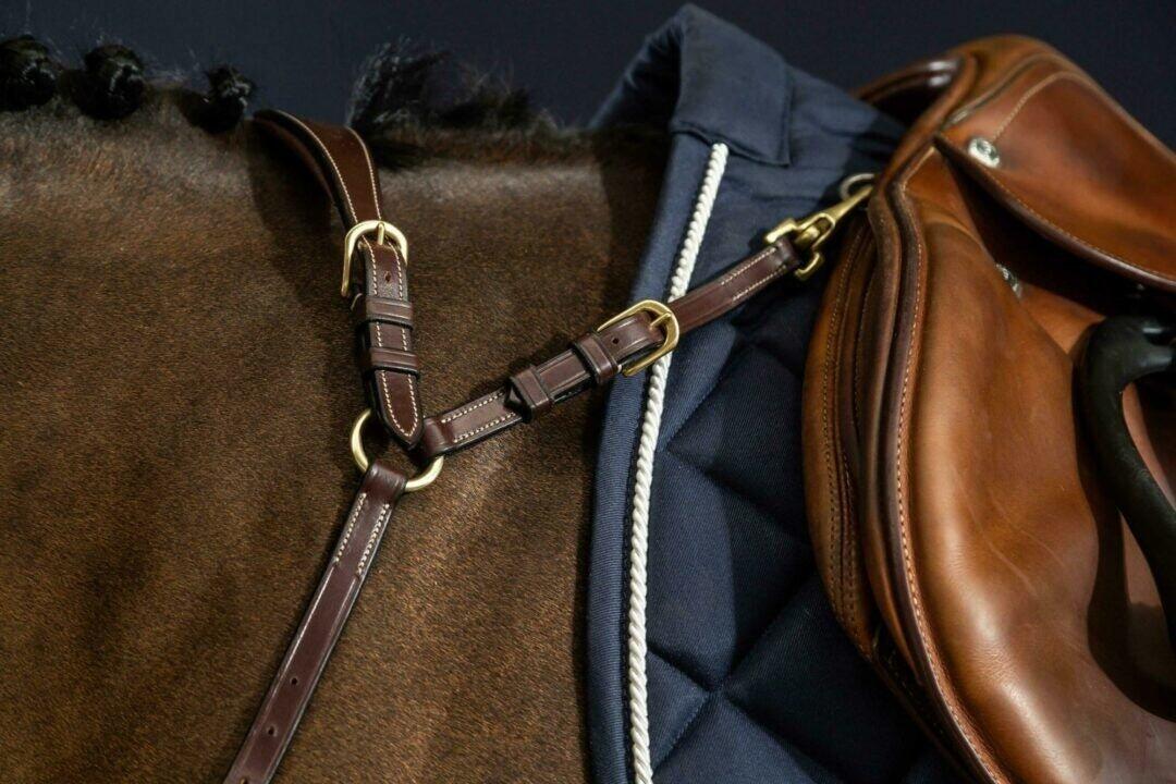 Collar de caza anatómico para caballos Dy'on 4/7