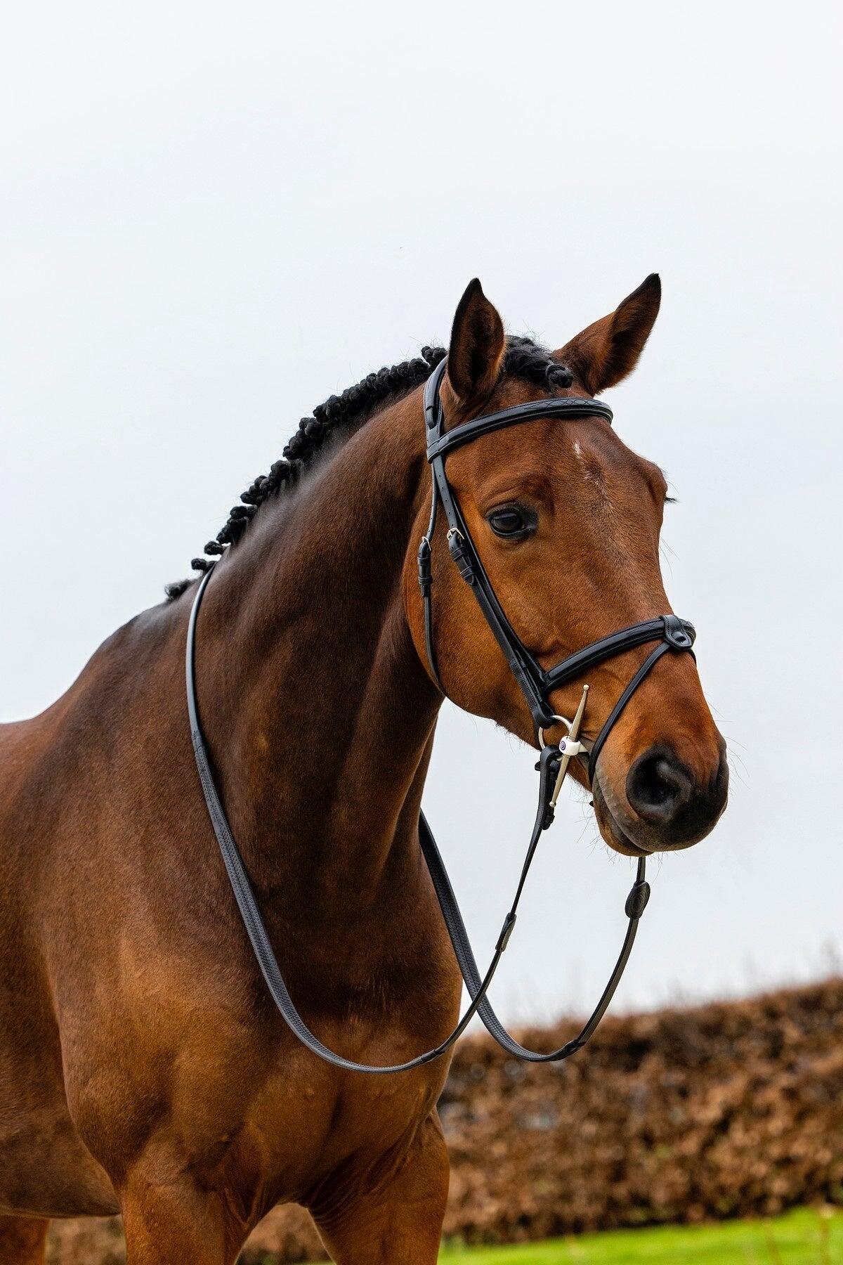 Trust Geneva Combined Noseband Hoofdstel Zwart - 4/7