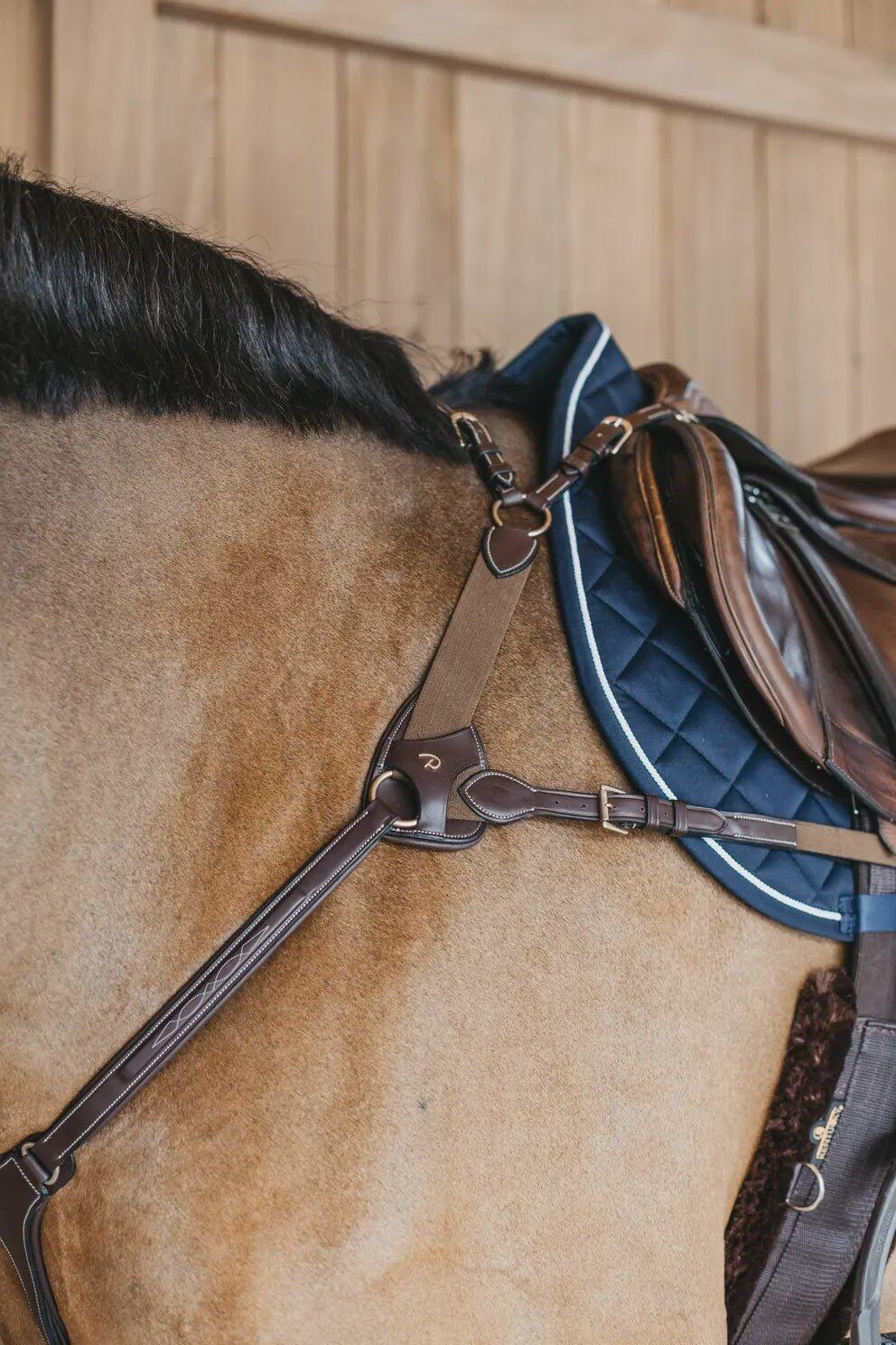 Collier de chasse 5 points avec élastique pour cheval Dy'on 3/3