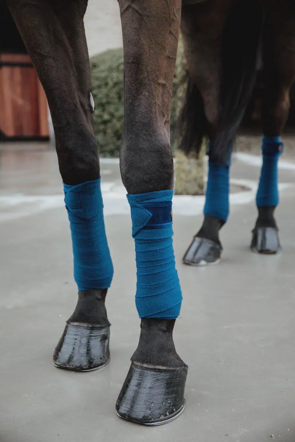 Bandes de polo Basic Velvet  - Kentucky 3/3
